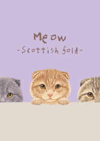 Meow - Scottish fold - LAVENDER