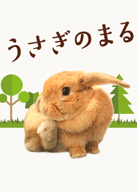 うさぎのまる