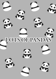 LOTS OF PANDASj-GRAY-BLACK