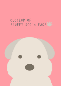 CLOSEUP OF FLUFFY DOG's FACE/CORAL PINK