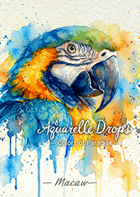 Aquarelle Drops - Macaw -