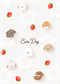 brown Tocotokowanko02_1