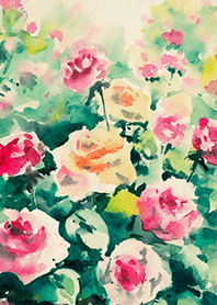 Beautiful rose flower(R4103)