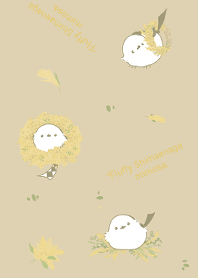 Fluffy Shimaenaga -mimosa