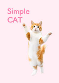Simple CAT | 茶白猫・かわいいピンク