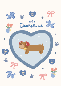Dachshund cute blue lover