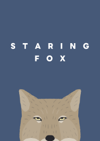 Staring Tibetan sand fox - Beige & Navy