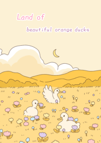 Land of beautiful orange ducks