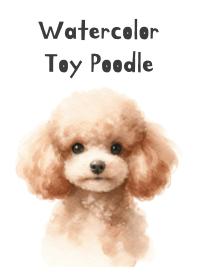 Poodle Toy Adorável em Aquarela