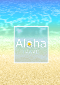 ハワイ＊ALOHA+245