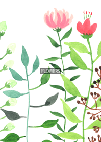 water color flowers_211
