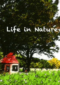 Life in Nature