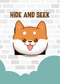 Shiba dogs play hide and seek