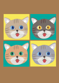 Cat quartet