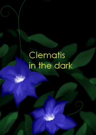 Clematis in the dark
