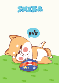 แย้ม ใครไม่บะ ชิบะ 4 V06