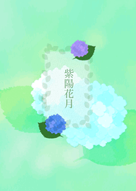 紫陽花月