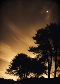 Night starry sky with nebula D5e600
