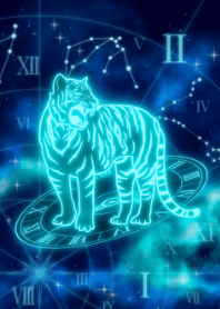 Zodiac Tiger-Aquarius- JPN