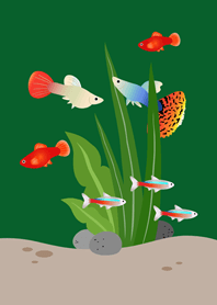 虛擬魚缸！(森林綠色)