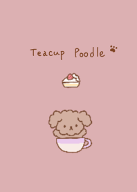 Dull pink and teacup poodle