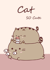 Hello Catty