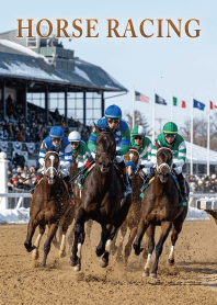 Theme of Horse Racing8