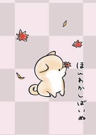 Shiba Inu Dog -autumn-