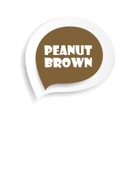 Peanut Brown Button In White