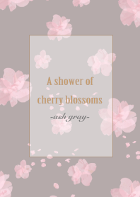 A shower of cherry blossoms -ash gray-