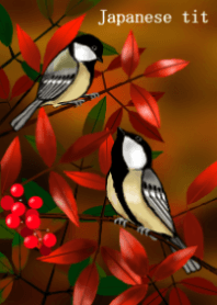 Parus minor