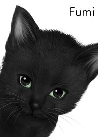 ふみ用可愛い黒猫子猫