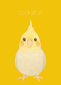 Cute Cockatiel on yellow