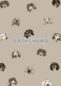 dachshund4 / tan