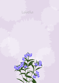 October's birth flower, Lobelia