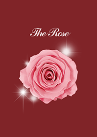 The beautiful Rose -Red