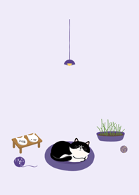 毎日がいい日です˙ベンツ猫