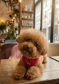 Fashionable Doudou with a Bandana