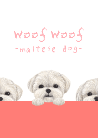Woof Woof - Maltese dog - WHITE/RED