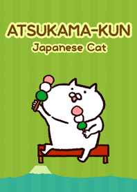 Cute white cat!