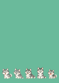 Smiling Siberian Husky3 on BG