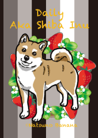 Daily Aka Shiba Inu 2