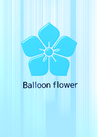 Balloon Flower Simple blue1