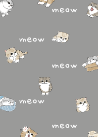 neko combo4 / dim grey