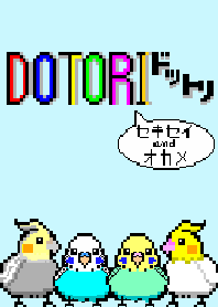 DOTORI セキセイandオカメ