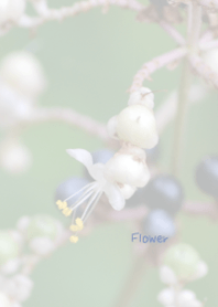 花のきせかえ23