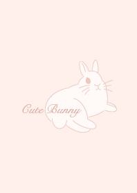 Cute Bunny