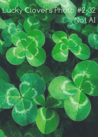 Lucky Clovers Photo#2-32Not AI