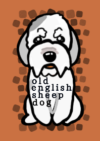 old english sheep dog dog