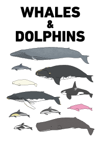 WHALES & DOLPHINS